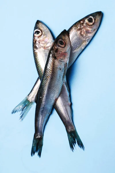 Leckerer Roher Fisch Auf Dem Tisch — Stockfoto