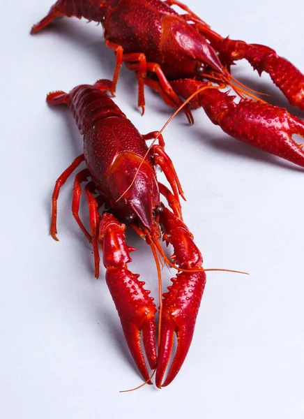 Yiyecekler. Beyaz arka planda lezzetli kerevit