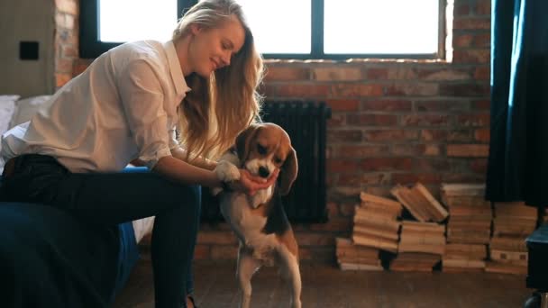 漂亮的年轻女人带着狗在家里玩 — 图库视频影像