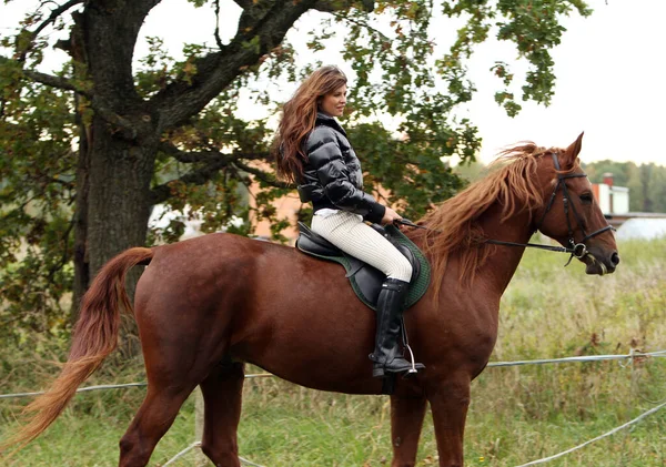 Vrouw Haar Mooie Bruine Paard — Stockfoto