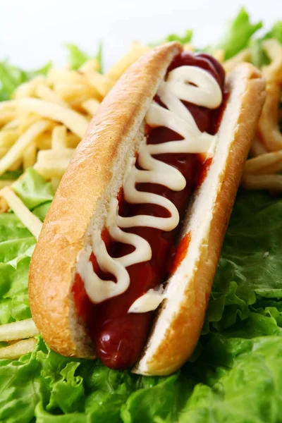 Čerstvý Chutný Hot Dog Smaženými Brambory Listech Salátu — Stock fotografie