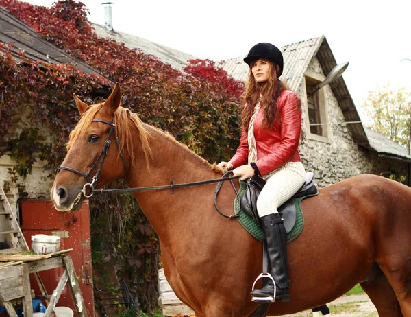 Mujer Joven Hermoso Caballo Marrón —  Fotos de Stock