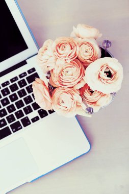 Çiçekler, gül. Tencerede güzel, kırmızı bir buket