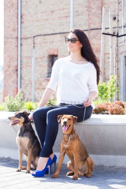 Açık havada. Güzel köpekleri olan sevimli, çekici bir kız.