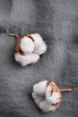 Masadaki pamuk çiçeği