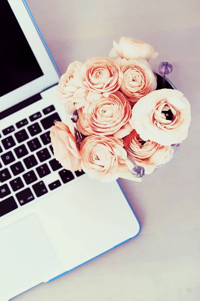 Çiçekler, gül. Tencerede güzel, kırmızı bir buket