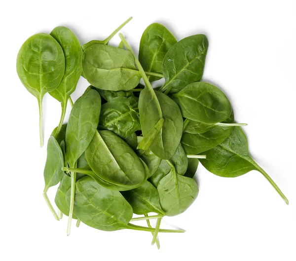 Spinach White Background — Stock Photo, Image