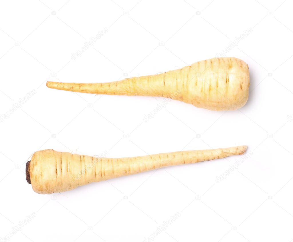 Parsnip on a white background