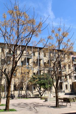 Ağaçlar Arasında Bina Görünümü 