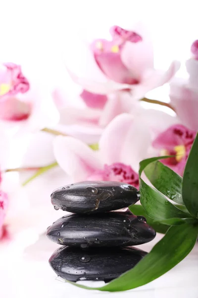 Wellness Steine Und Schöne Orchidee Auf Weißem Hintergrund — Stockfoto