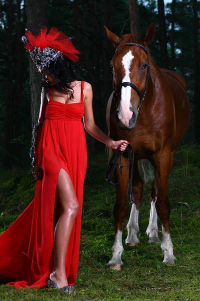 Стильная Женщина Красном Платье Позирует Лесу Лошадью — стоковое фото