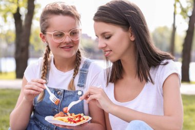 Güzel kadınlar parkta piknik yaparlar.