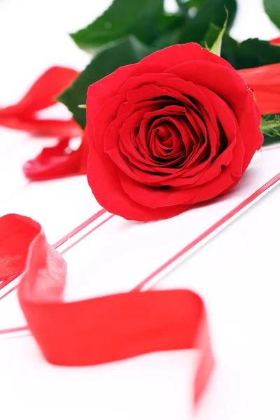 Крупним Планом Червона Троянда Святковий Конверт — стокове фото