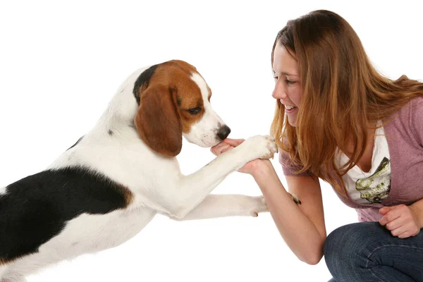 Gelukkig Jong Vrouw Spelen Met Haar Hond Wit Achtergrond — Stockfoto