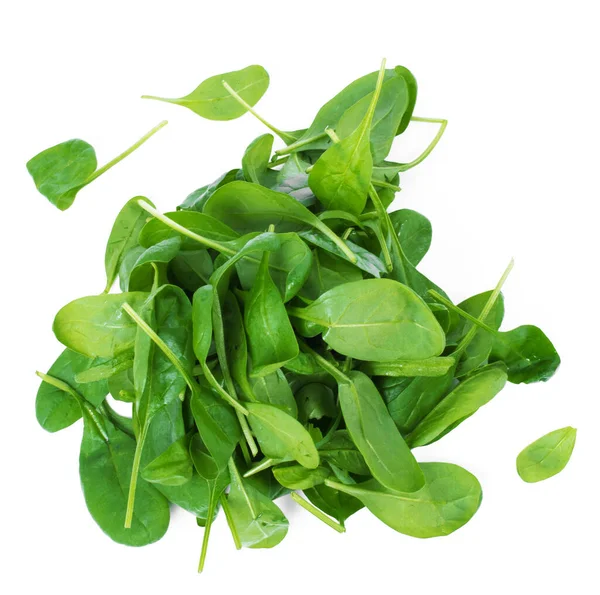 Green Spinach White Background — Stock Photo, Image