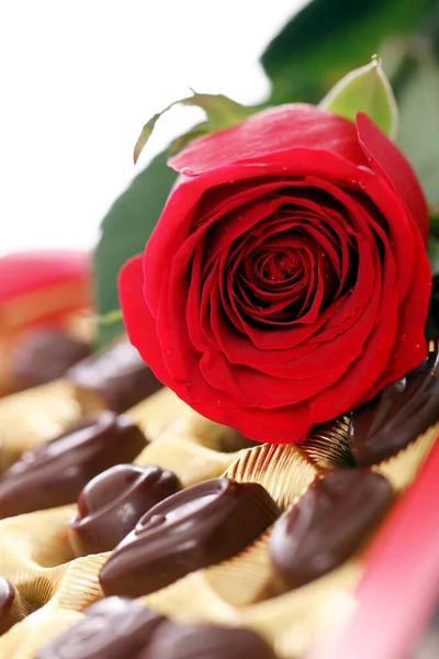 Κοντινό Πλάνο Του Κόκκινου Τριαντάφυλλου Και Καραμέλες Σοκολάτας — Φωτογραφία Αρχείου