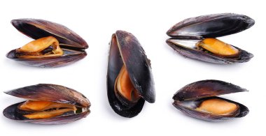 Beyaz arka planda lezzetli midyeler.