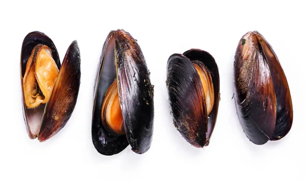 Beyaz arka planda lezzetli midyeler.