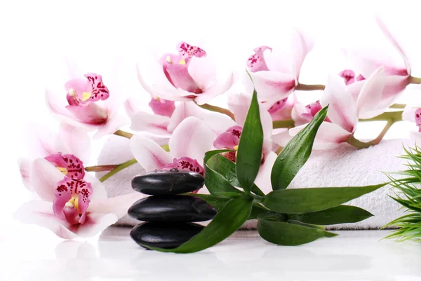 Wellness Steine Und Schöne Orchidee Auf Weißem Hintergrund — Stockfoto