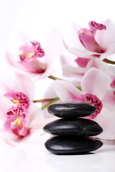 Wellness Steine Und Schöne Orchidee Auf Weißem Hintergrund — Stockfoto