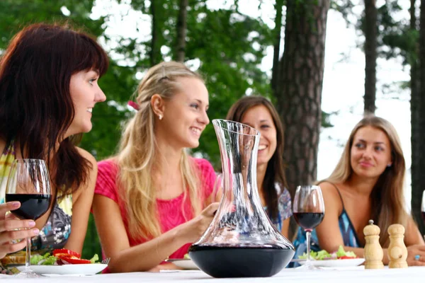 Group Beautiful Women Drinking Wine Nature Stock Photo