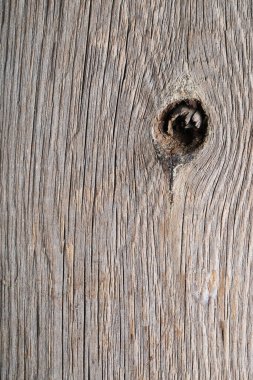 Arka plan, doku. Yakından ahşap