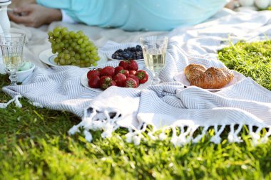 Sevgi. Parkta romantik piknik.