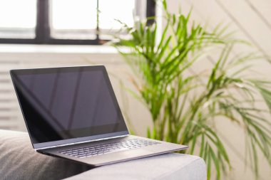Teknoloji ve internet. Evde dizüstü bilgisayar