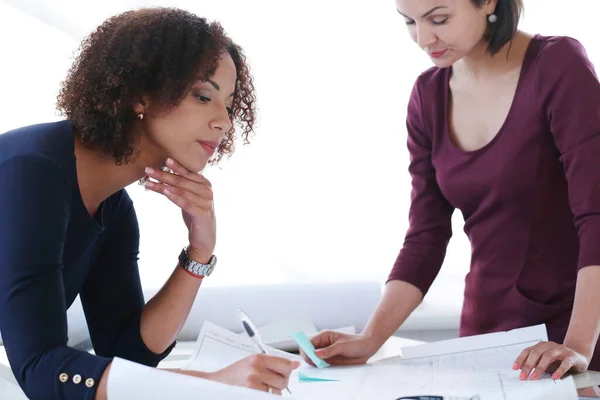 Office Lifestyle Vrouwen Het Werk — Stockfoto