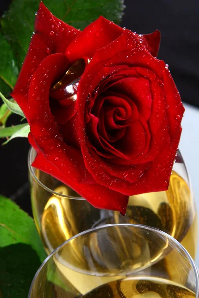 Due Bicchieri Champagne Con Rosa — Foto Stock