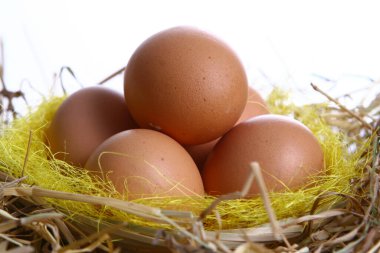 Paskalya yumurtası. Paskalya tatili konsepti