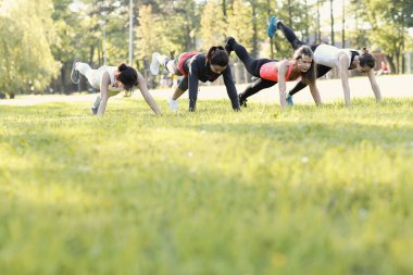 Spor. Kadınlar parkta egzersiz yapar.