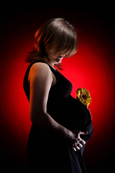 Krásná Šťastné Těhotné Mladá Žena — Stock fotografie