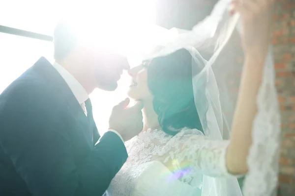 Casamento Casal Encantador Vai Casar — Fotografia de Stock