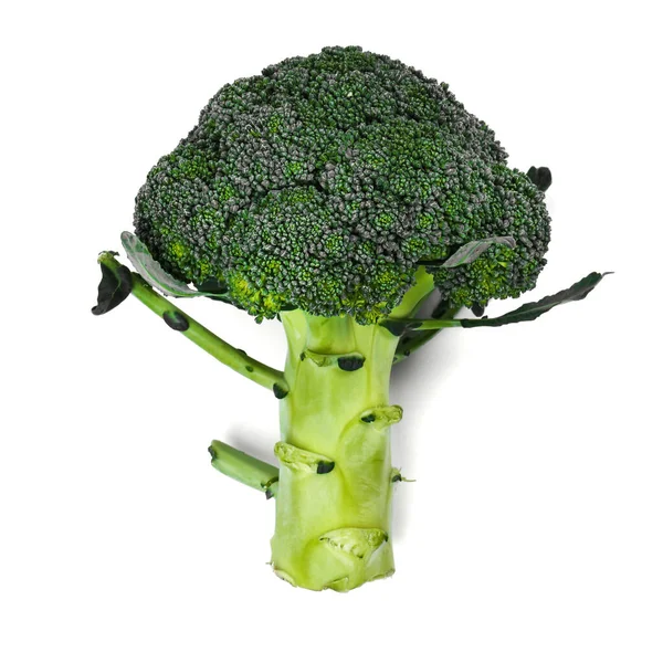Brócolis Delicioso Fundo Branco — Fotografia de Stock