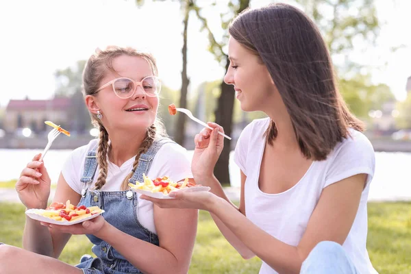 Mooie Vrouwen Picknicken Het Park — Stockfoto