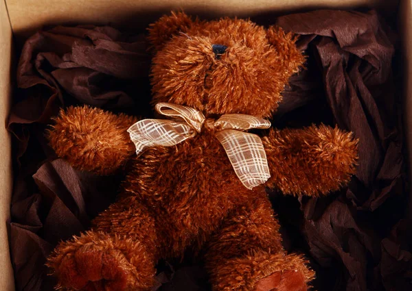 Cute Teddy Beer Doos Van Gift — Stockfoto