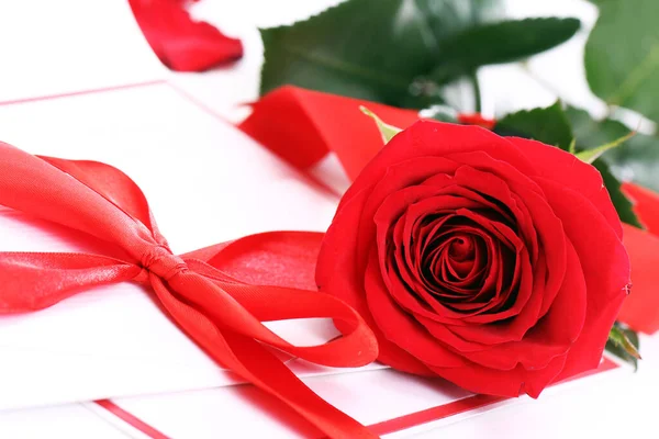 Close Rosa Rossa Busta Vacanza — Foto Stock