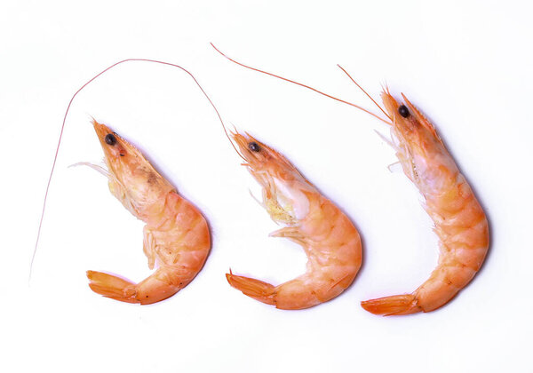 Вкусные креветки на белом фоне