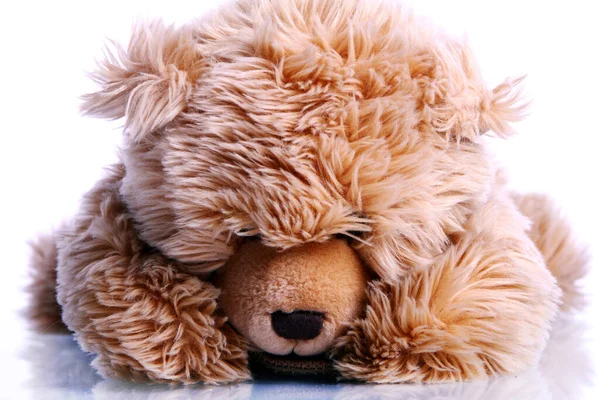 Cute Teddy Bear White Background — Stock Photo, Image