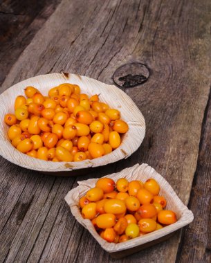 Tahta masadaki deniz dikenleri.