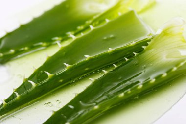 İlaçlar. Aloevera beyaz arka planda
