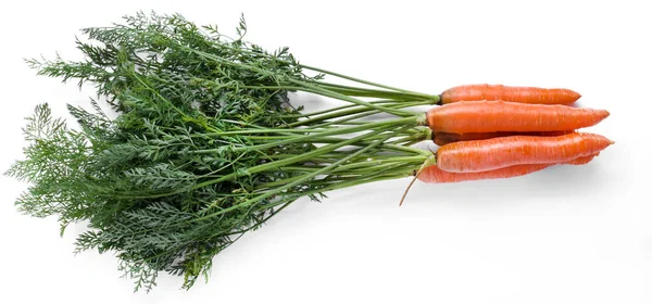 Deliciosa Zanahoria Sobre Fondo Blanco — Foto de Stock
