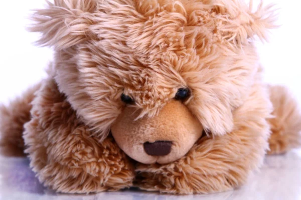 Cute Teddy Bear Tegen Witte Achtergrond — Stockfoto