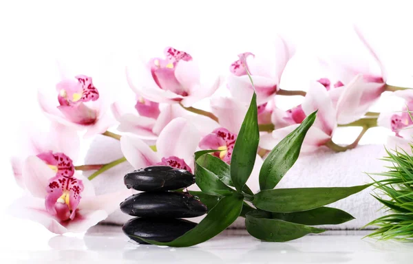 Wellness Steine Und Schöne Orchidee Auf Weißem Hintergrund — Stockfoto