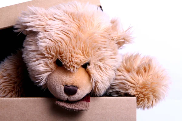 Roztomilý Medvídek Dárkové Krabici Proti Bílému Pozadí — Stock fotografie