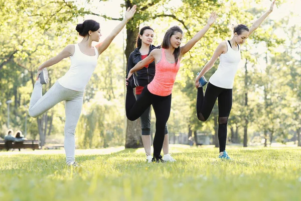 Desporto Mulheres Exercitam Parque — Fotografia de Stock