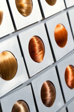 Saçlar. Renkli saç tonu seçenekleri