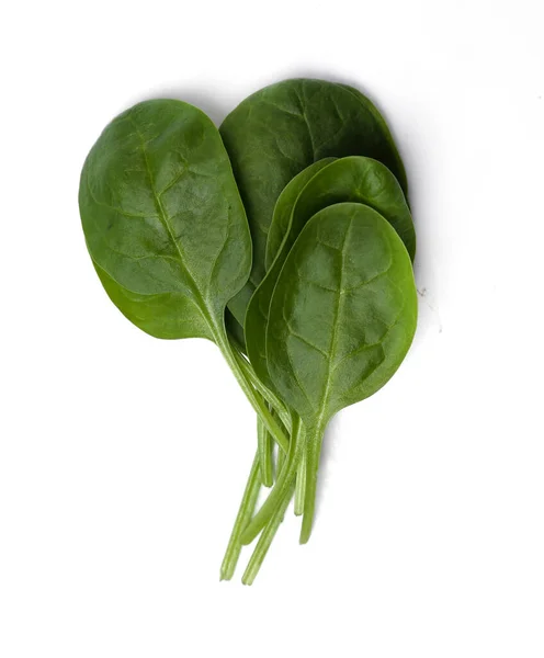 Spinach White Background — Stock Photo, Image