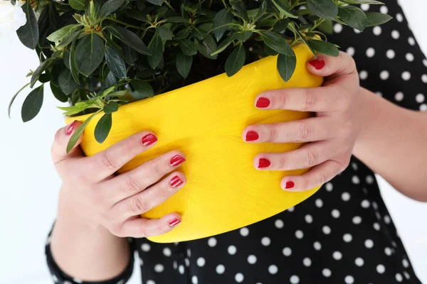 Fille Tenant Pot Avec Des Fleurs — Photo